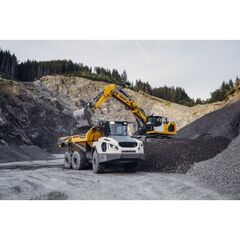  Knickgelenkte Muldenkipper Liebherr TA230 Litronic 12466276